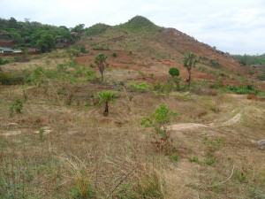 Lots of usable land, great location, dreaming big in Malawi! love, mb